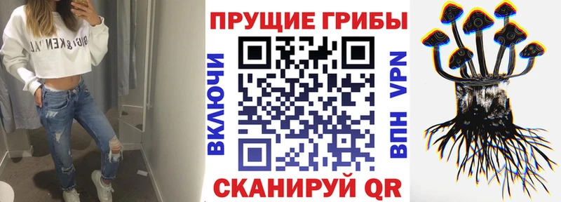 Купить где  Рузаевка  Галлюциногенные грибы Cubensis 